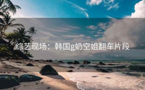 综艺现场:韩国g奶空姐翻车片段