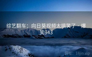 综艺翻车:向日葵视频太搞笑了 · 爆笑943