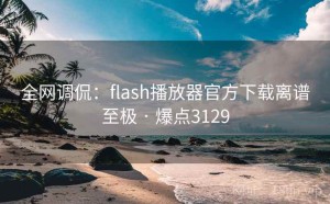 全网调侃：flash播放器官方下载离谱至极 · 爆点3129